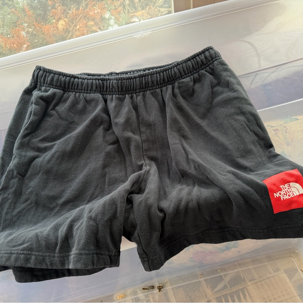 The North Face Charcoal Gray Shorts